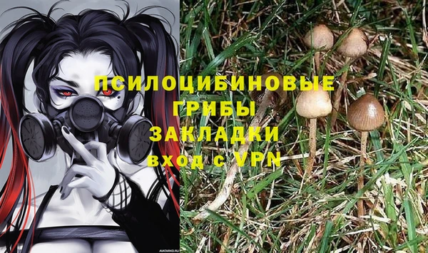 мяу мяу мука Абинск
