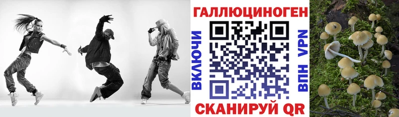 Галлюциногенные грибы GOLDEN TEACHER  купить  сайты  ОМГ ОМГ как зайти  Новое Девяткино 