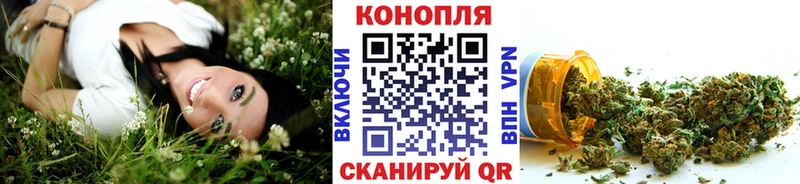 Бошки Шишки план  купить   Новое Девяткино 